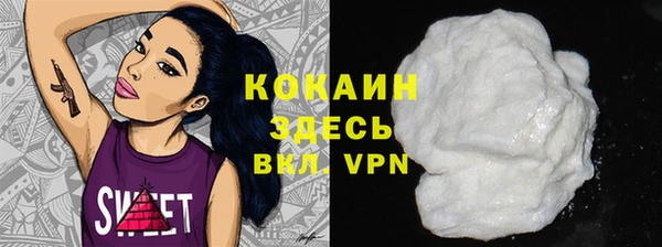 сатива Чердынь