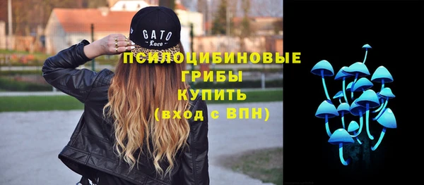 дживик Елизово