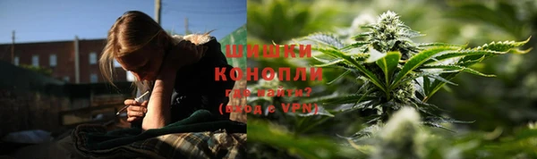 дживик Елизово