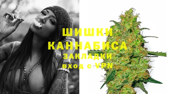 стафф Заводоуковск