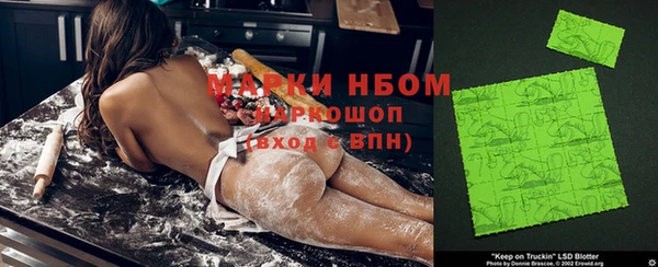 стафф Заводоуковск