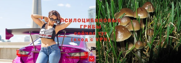бошки Чекалин