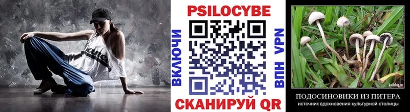OMG ссылка Талица Галлюциногенные грибы MAGIC MUSHROOMS